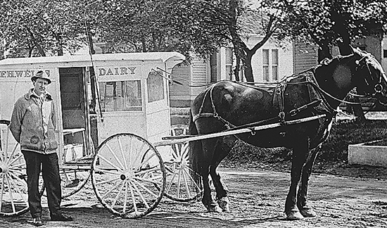 Horse with Dairy Cart